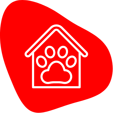 Image Title My Image