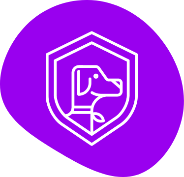 Image Title My Image